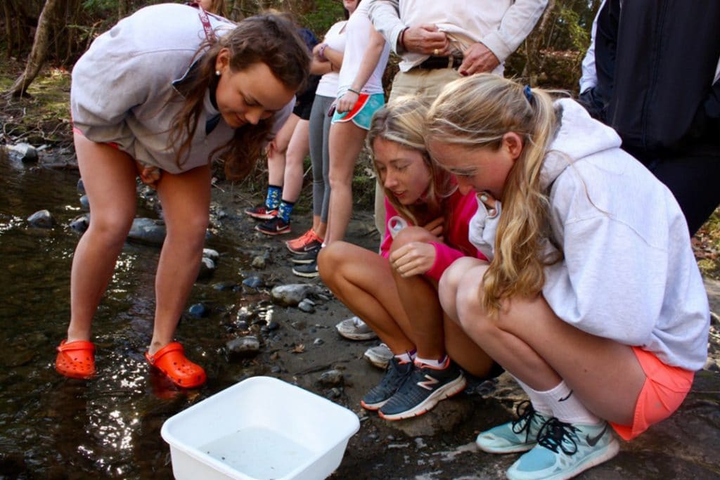 Riffle Bioassessment by Volunteers (RBV) Program