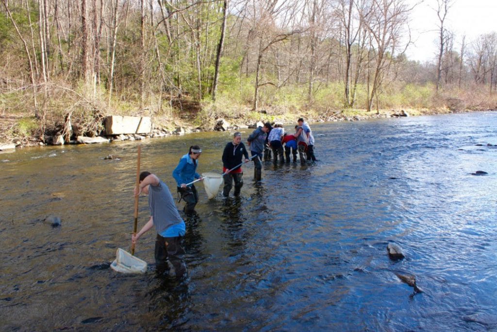 Riffle Bioassessment by Volunteers (RBV) Program