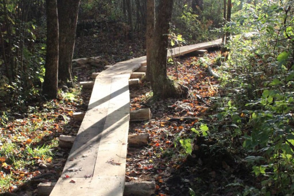 BUILDING BOARDWALK