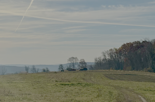 Waldingfield Farms