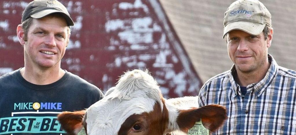 Hannan Holstein Farm